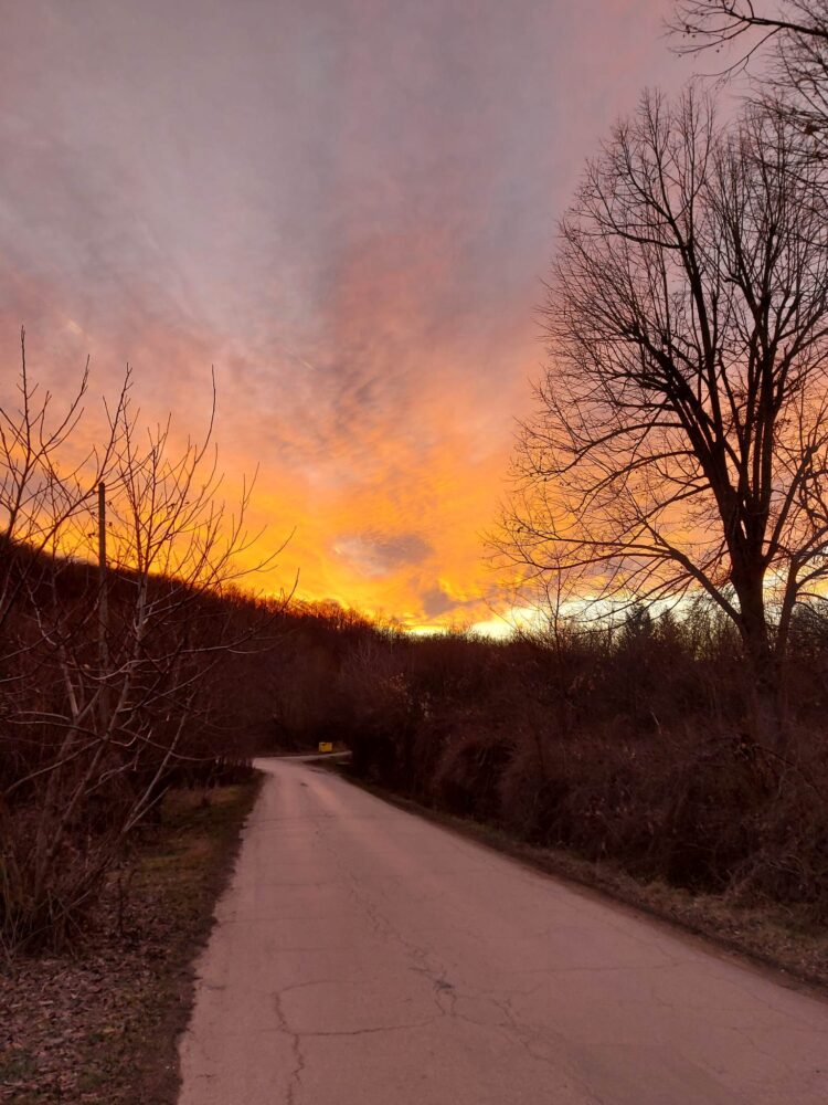 Юлия, 56 години, Донецка област, Украйна: “Не срещнах недружелюбни хора, България ни стана втора родина”