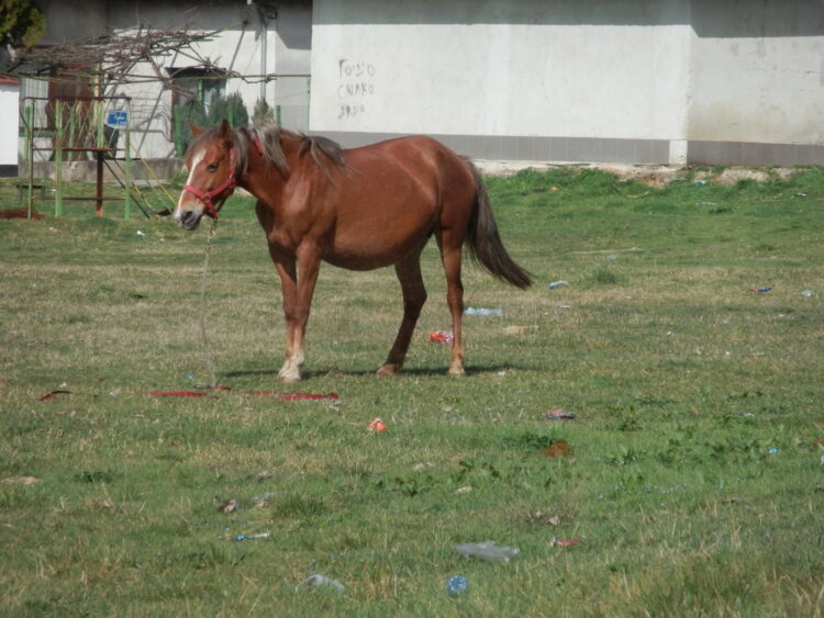 Жители на Балабанца: “Няма да гласуваме”