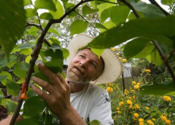Христо Иванов-Ашламинатора гостува на “Семе българско”