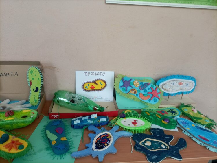 В СУ “Васил Левски” ученици и екип Природни науки отбелязаха Седмицата на природните науки