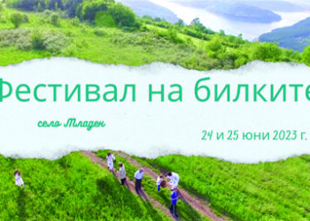 За шести път – Фестивал на билките в с. Младен