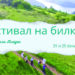 За шести път – Фестивал на билките в с. Младен