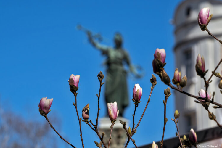 НАУЧНОПРИЛОЖНА КОНФЕРЕНЦИЯ „РЕГИОНАЛНО РАЗВИТИЕ, КУЛТУРНИ КОРИДОРИ И МЕДИИ“