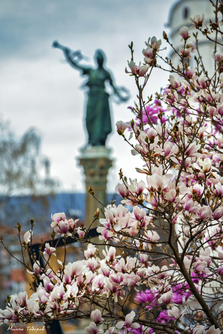 НАУЧНОПРИЛОЖНА КОНФЕРЕНЦИЯ „РЕГИОНАЛНО РАЗВИТИЕ, КУЛТУРНИ КОРИДОРИ И МЕДИИ“