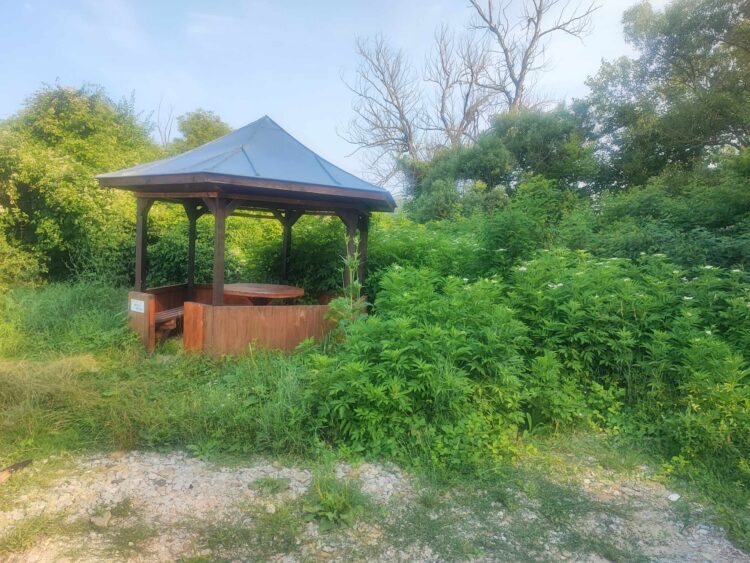 Светла Георгиева: “Чудя се и не мога да си обясня защо не искаме да ни е хубаво?!”