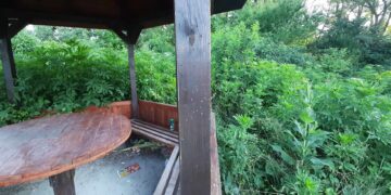 Светла Георгиева: “Чудя се и не мога да си обясня защо не искаме да ни е хубаво?!”