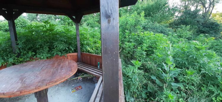 Светла Георгиева: “Чудя се и не мога да си обясня защо не искаме да ни е хубаво?!”