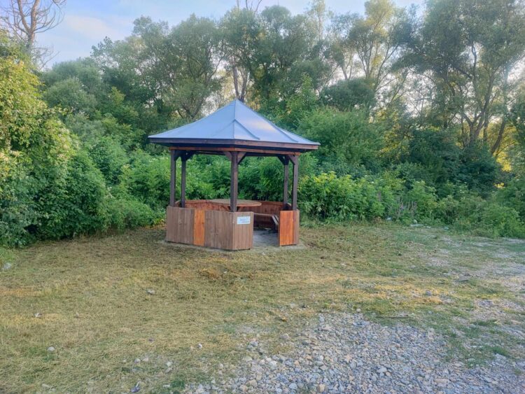 Светла Георгиева: “Чудя се и не мога да си обясня защо не искаме да ни е хубаво?!”