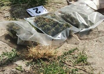 Обиски в Севлиево и Енев рът, хванаха 5 кг канабис и незаконен пистолет