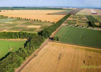 За колко можете да продадете нивите си