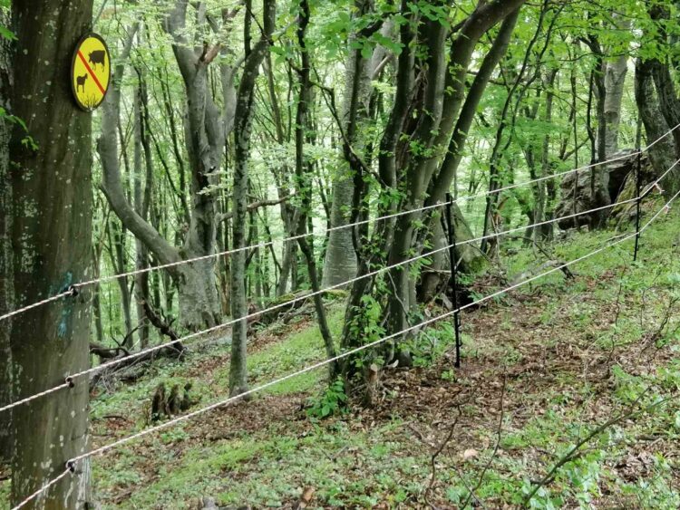 Европейско финансиране осигури извършването на важни дейности в Национален парк „Централен Балкан“