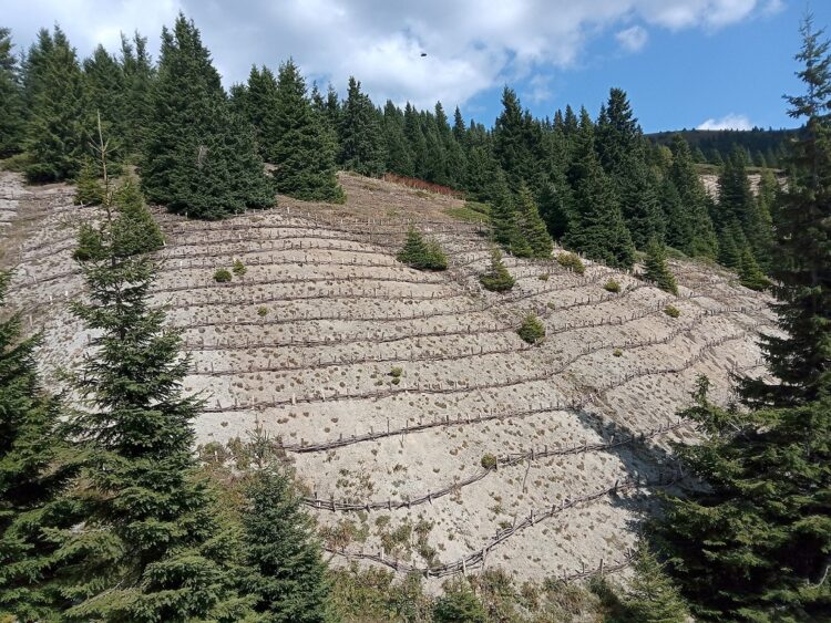 Европейско финансиране осигури извършването на важни дейности в Национален парк „Централен Балкан“