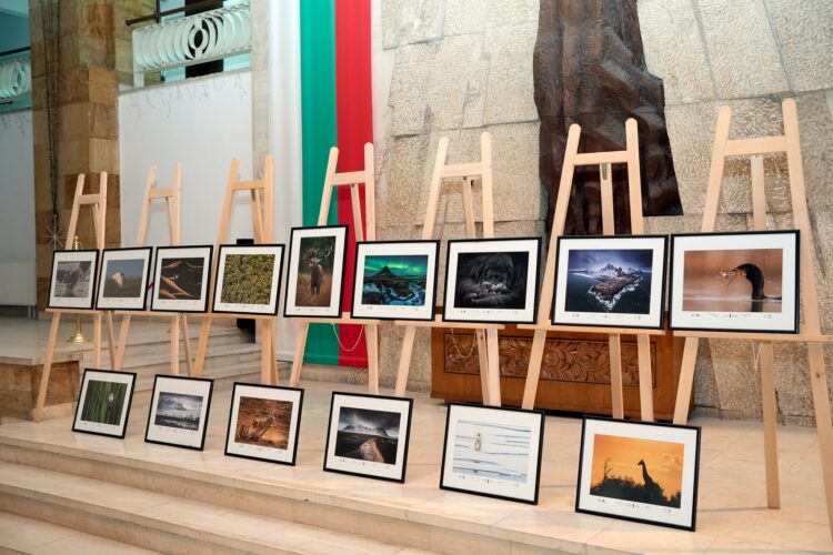 Севлиево е домакин на 14-тото издание на фотосалон “Дивото”