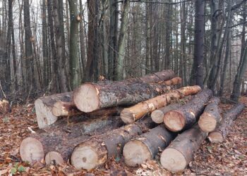 Над 1700 проверки в горите на СЦДП през месец юли