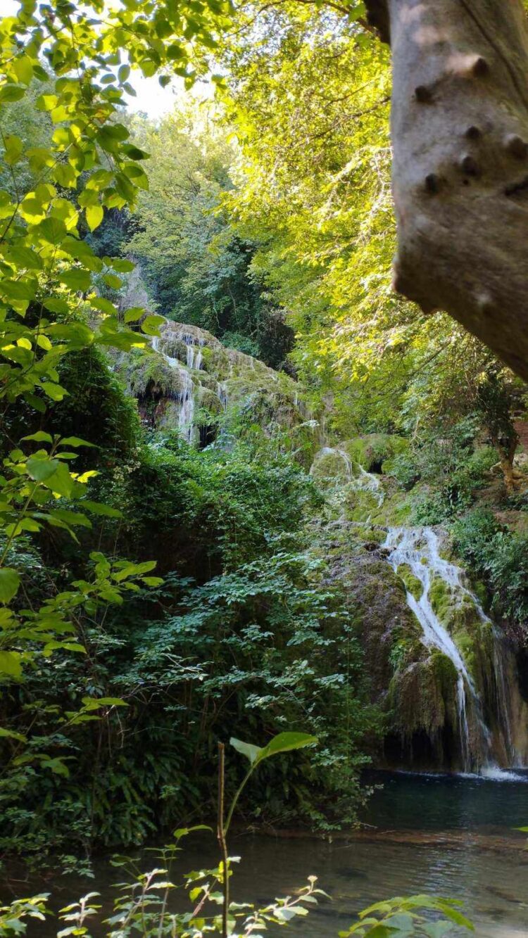 Преди лястовичките да си тръгнат…