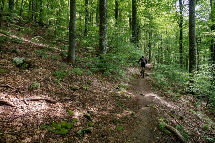 Община Севлиево и MTB-BG.com създадоха маршрути за планинско колоездене