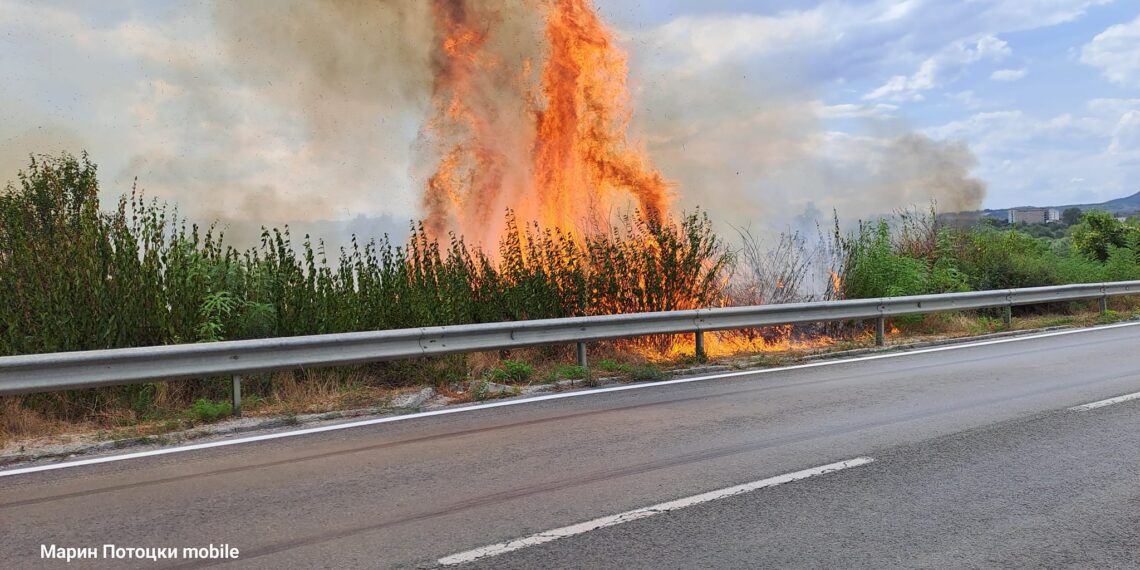Искра от пожар изпепели сеното в минаващ камион край Севлиево