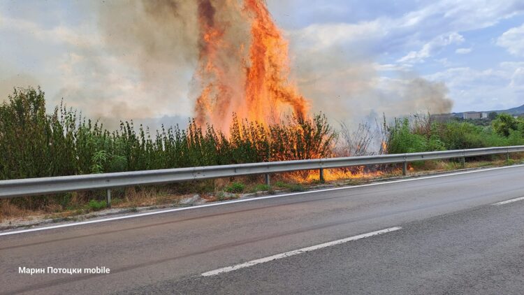 Искра от пожар изпепели сеното в минаващ камион край Севлиево
