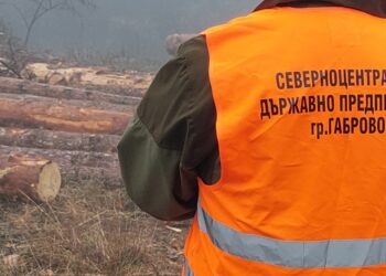 Повече от 5 000 проверки в горите на СЦДП-Габрово през октомври