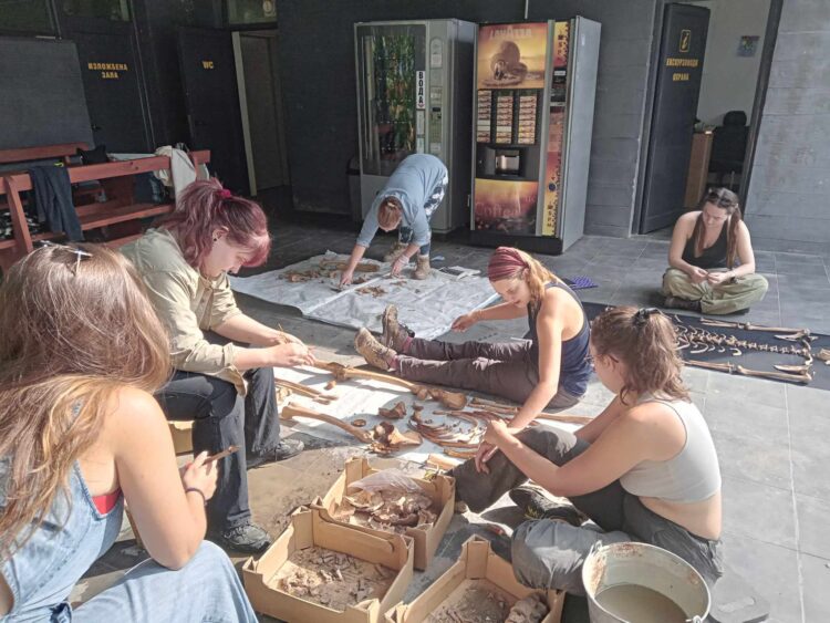 Зъбна инфекция на 750 г. бе открита в средновековен Хоталич