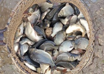 Зарибиха язовир “Александър Стамболийски”