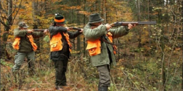 МЗХ с апел към ловците за съдействие при ваксинацията на лисиците срещу бяс