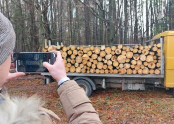 3 010 проверки в горите на Централна Северна България през ноември