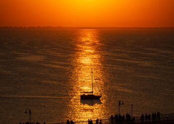 Пред обектива – победителите във фотоконкурса “Ежедневни чудеса”