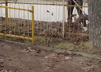 Магдалена Стоянова: “Има надежда за село Горна Росица”