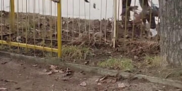 Магдалена Стоянова: “Има надежда за село Горна Росица”