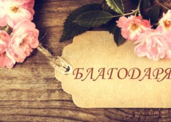 Има и добри млади хора