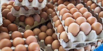 Ще има ли поскъпване на яйцата за Великден