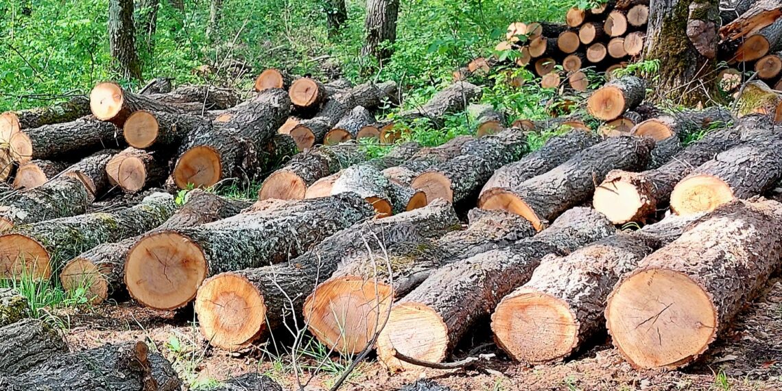 1 451 проверки в горите на СЦДП през месец април