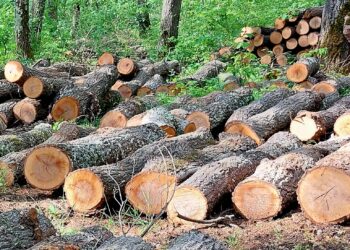 1 451 проверки в горите на СЦДП през месец април