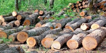 1 451 проверки в горите на СЦДП през месец април