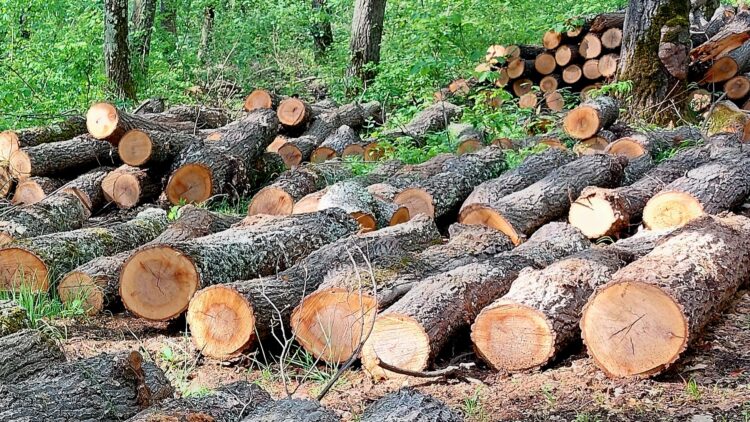 1 451 проверки в горите на СЦДП през месец април