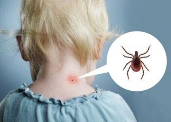 Намаляване на риска от ухапване от кърлеж