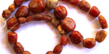 Нощ в музея: Вкаменелости на милиони години показват в Хаджистояновото училище