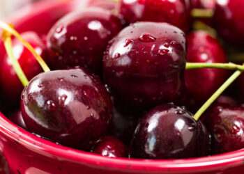 По следите на отминалото време. Любопитни щрихи от пъстротата на живота