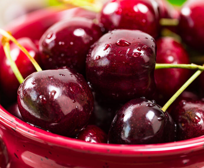 По следите на отминалото време. Любопитни щрихи от пъстротата на живота