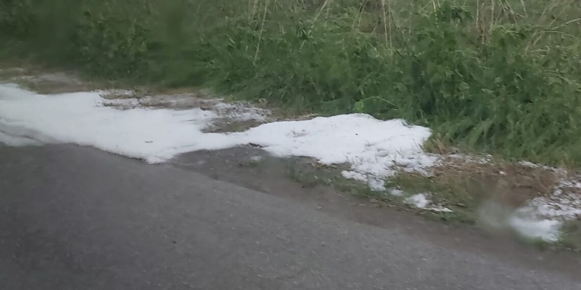 Инж. Ножаров: “Няма ли държавна политика за поддръжката на речните корита, проблемът с наводненията няма да се реши”