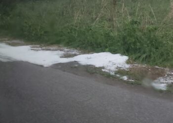 Инж. Ножаров: “Няма ли държавна политика за поддръжката на речните корита, проблемът с наводненията няма да се реши”