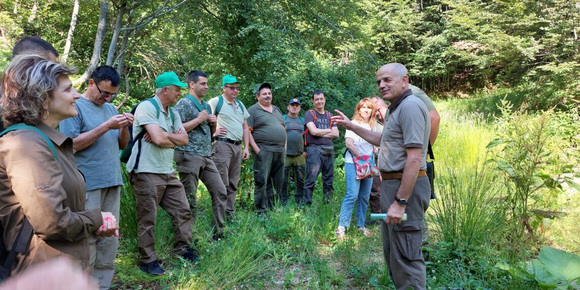 Лесовъди, заети в горския сектор, преминаха през теоретико-практически курсове за опресняване на квалификацията