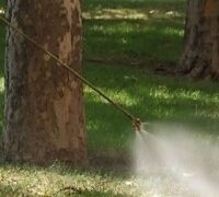 В петък  пръскат срещу комари