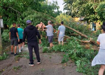 Беше страшно! За 10 минути бурята отнесе покриви, изкорени дървета, затрупа пътища
