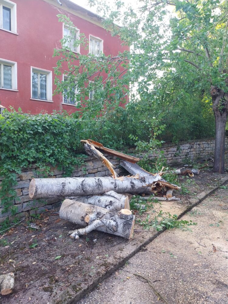 Беше страшно! За 10 минути бурята отнесе покриви, изкорени дървета, затрупа пътища