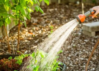 Кметът забрани поливането с питейна вода