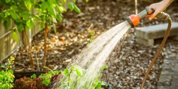 Кметът забрани поливането с питейна вода