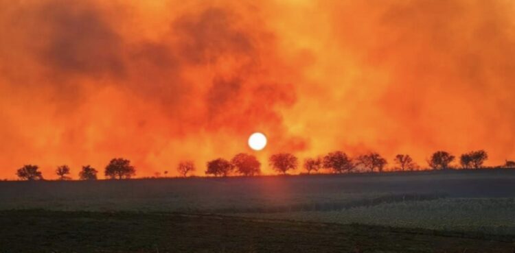 Община Севлиево обяви кампания за пострадалите от пожарите в село Воден