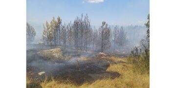 Пенсионери от Севлиево дариха 500 лв. на пострадалите от пожара в Болярово